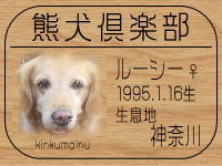 �I�[�i�[�́Alozy����ł���